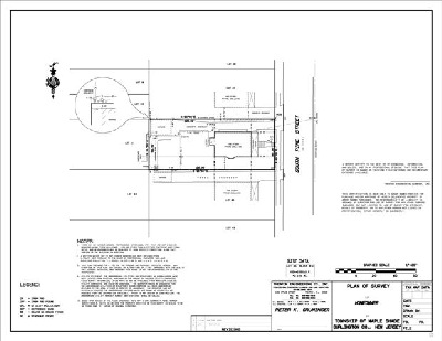 Plan of Survey